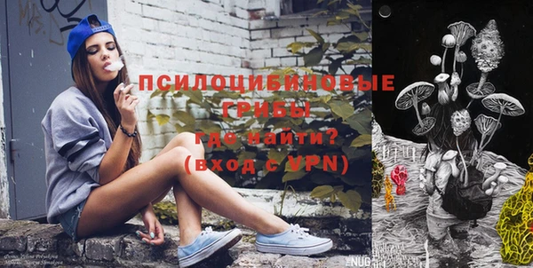 хмурый Абинск