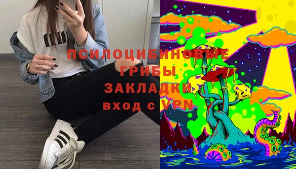 хмурый Абинск