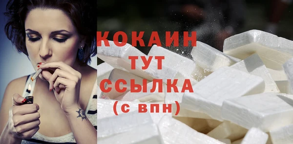 хмурый Абаза