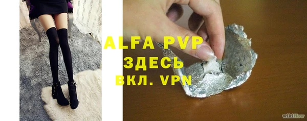 хмурый Абаза