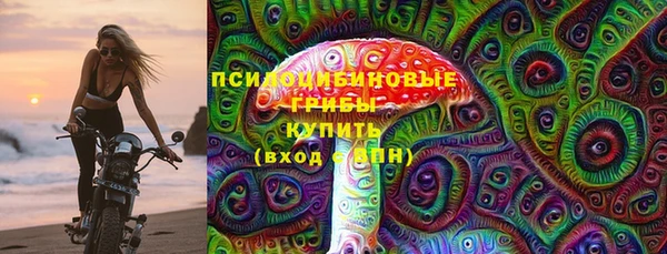 хмурый Абаза