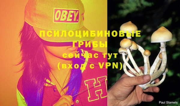 MDMA Абдулино