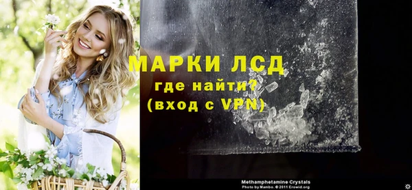 хмурый Абаза