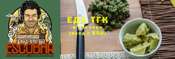 хмурый Абаза
