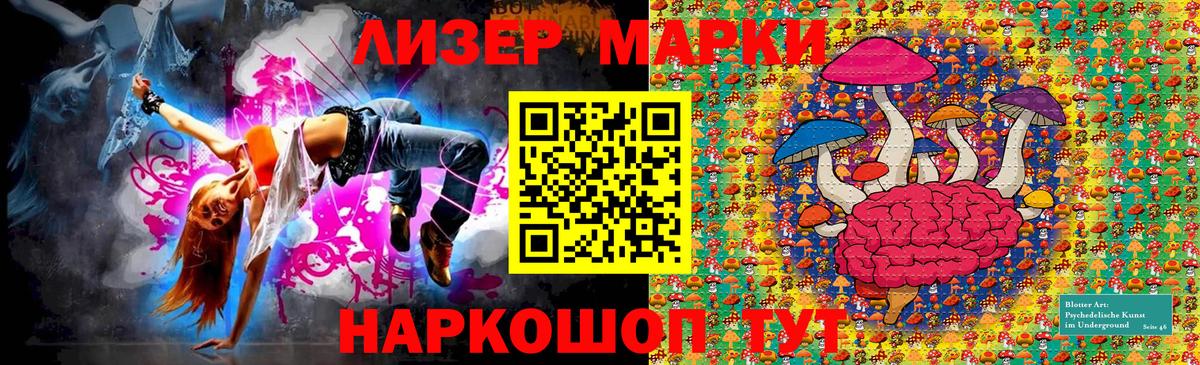 где продают   Марки NBOMe 1,5мг  Вход с VPN  Заводоуковск 