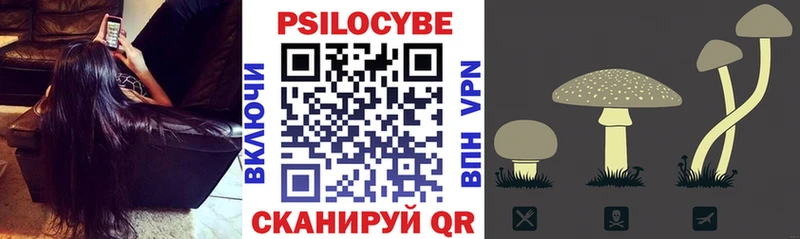 Псилоцибиновые грибы Psilocybe  как найти   Заводоуковск 