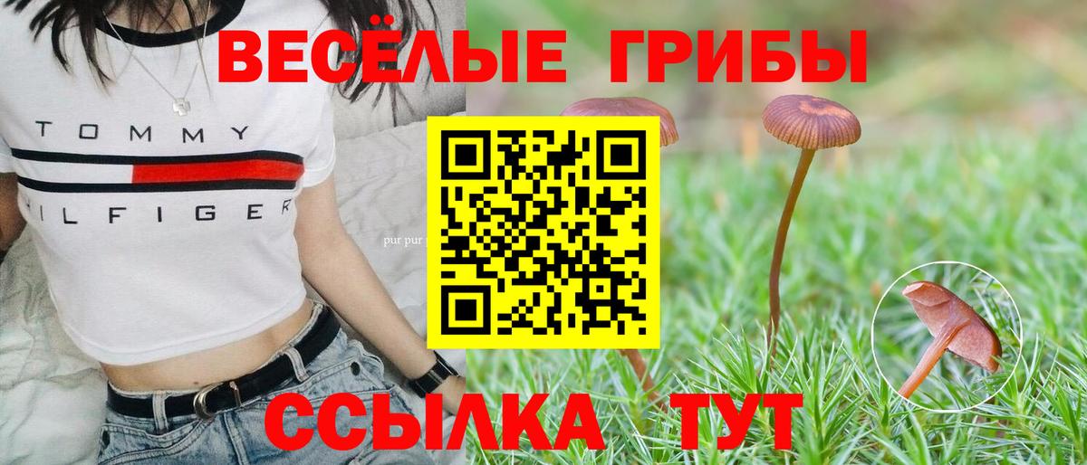 Галлюциногенные грибы прущие грибы Заводоуковск