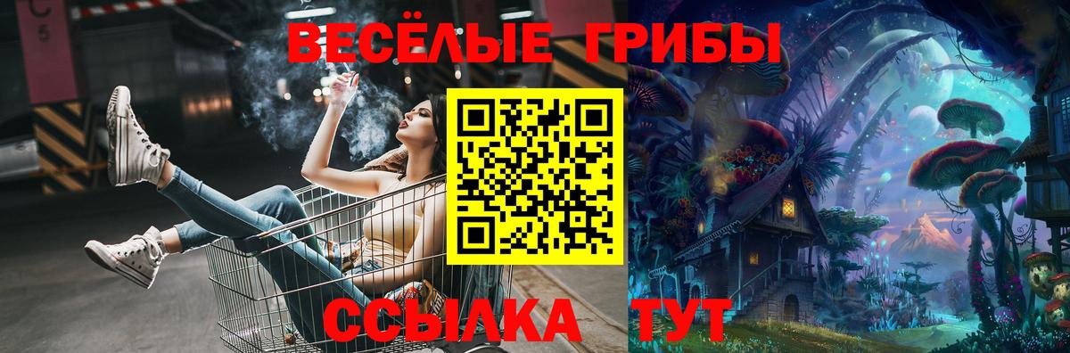 магазин    Вход с VPN  Заводоуковск  Псилоцибиновые грибы прущие грибы 