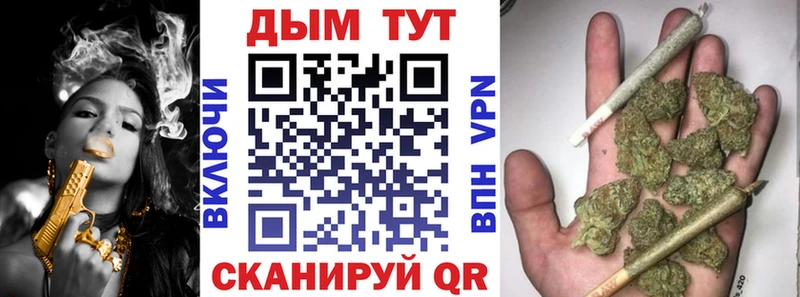 Бошки марихуана VHQ  мега ТОР  Заводоуковск  закладки 